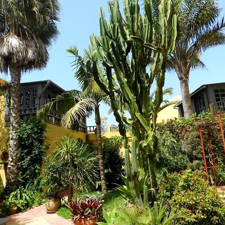 Dar Beldi Acomodação com café da manhã Oualidia Exterior foto