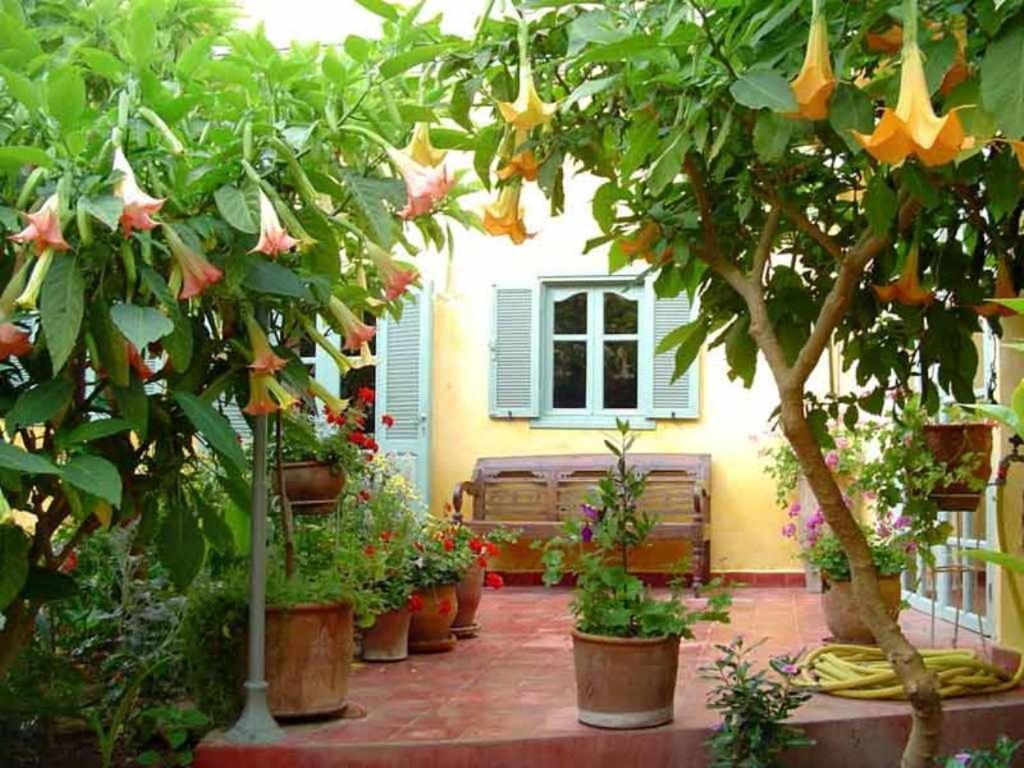 Dar Beldi Acomodação com café da manhã Oualidia Exterior foto