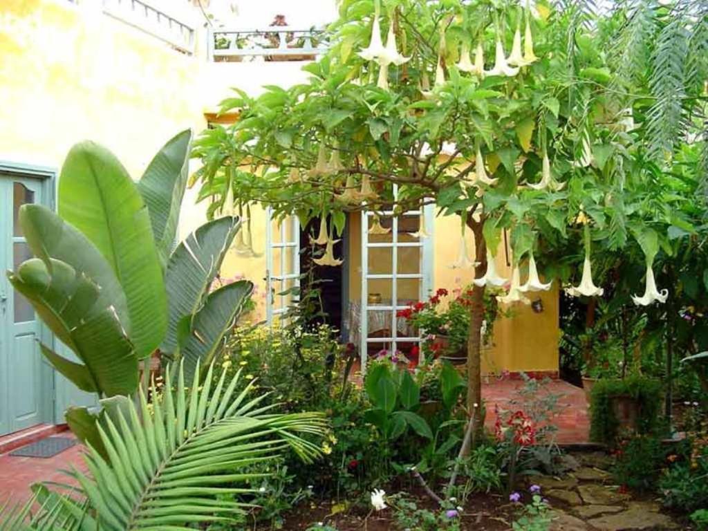Dar Beldi Acomodação com café da manhã Oualidia Exterior foto