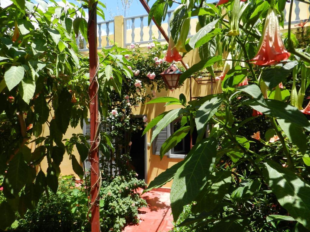 Dar Beldi Acomodação com café da manhã Oualidia Quarto foto